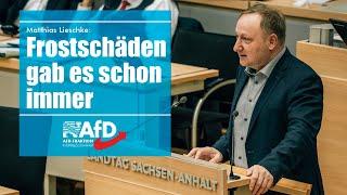 Matthias Lieschke: Frostschäden gab es schon immer