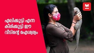 ഏലിക്കുട്ടി എന്ന കീരിക്കുട്ടി ഈ വീടിന്റെ ഐശ്വര്യം