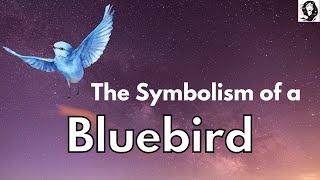 Symbolism of a Bluebird - Bluebird Spirit Animal