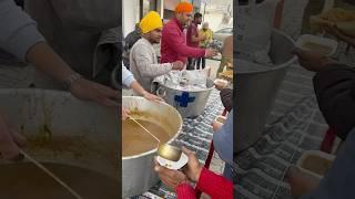 Guru da langar #wmk #waheguru #wmkੴ #punjabi #shorts #sikhi #langar