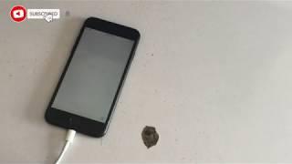 Hard Reset - iPhone 7 / 7 Plus, 8 / 8 Plus (Disabled / Forgot Password) 2020 By Pakium Alerts