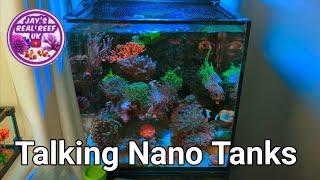 Nano Tanks With Jay's Real Reef UK | The Prestige Reef Dork Show Ep 24