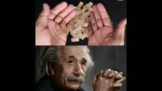 Albert#physics#art and craft#