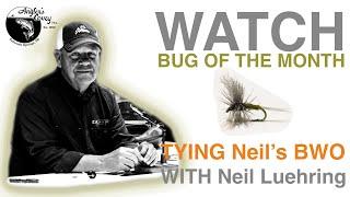 BUG OF THE MONTH - Blue Wing Olive Dry Fly with Neil Luehring