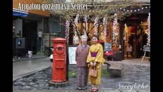 Way of Tea or Tea ceremony (Sadou) at Kinosaki Onsen Travel Vlog 城崎温泉茶道
