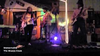 Pearl Jam- Immortality COVER | The Blue(s) Clock | LYRICS