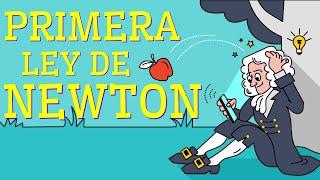 13 Examples of Newton's First Law