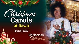 Christmas Carols at Dawn by the Overseas Devotees, SSSGC | Dec 25, 2024 | Prasanthi Nilayam