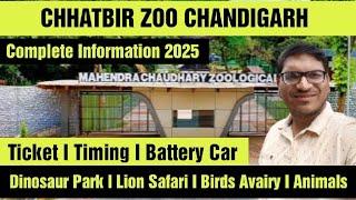 Chhatbir Zoo Chandigarh 2025 I Chandigarh Chidya Ghar I Chandigarh Top Tourist Places I Full Tour