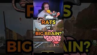 RATS or BIG BRAIN?  #shorts #apexlegends #apex #apexlegendsclips #apexshorts #apex女子 #apexmobile