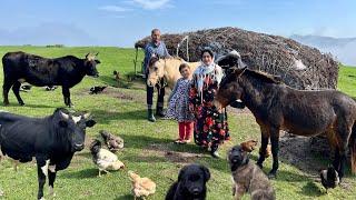 Nomadic Life: A Beautiful Autumn Morning in the Mountains | Taking Ducks & Geese to the Pond