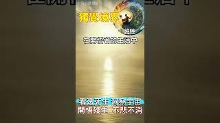 獨覺境界 純粹：開悟殘生 不悲不消 #開悟 #覺醒 #靈性成長