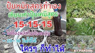 ปุ๋ยหมัก จากปุ๋ยคอก เทียบเท่าปุ๋ยสูตร 15-15-15 ไม่ต้องกลับไม่ต้องพลิก 1 เดือนใช้ได้เลย