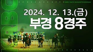 (부산) 2024.12.13 8경주