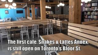 Toronto's Nerdiest Spots: Snakes & Lattes College