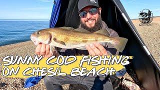 Sunny Cod Fishing On Chesil Beach | Cameo By Gareth Griffiths