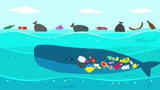 World Oceans Day 2019