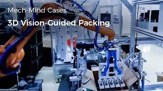 3D Vision-Guided Packing with Mech-Mind Robotics 3D cameras