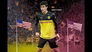 GIOVANNI REYNA - DORTMUND - young USA talent Assist, Goals, Tricks, Career