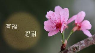 靈修:有福-忍耐 20210812 (潮語讀經版)