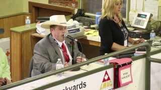 2013 LMAC Auctioneer Championship - Winners