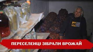 Садять городи, знайшли роботу: переселенці з різних куточків України оселились в селі на Житомирщині