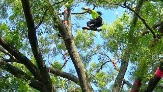 James Kilpatrick Best Tree Climber in The World