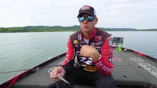 Strike King KVD Jerkbait