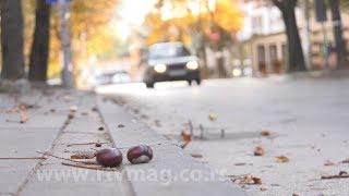 Obrenovac, 30.9.2017. slike jutra