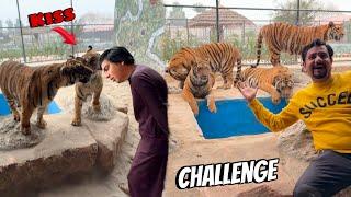 Five Tigers Ko kiss Ki  Mamu Ko Dea Challenge 