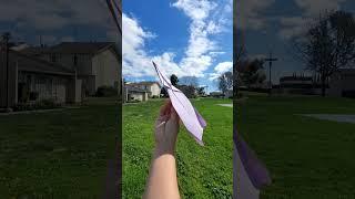 New #paperairplane Testflight. What is the best name for it. Tutorial will be out soon