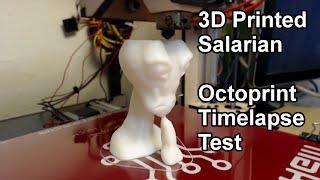 Octoprint Timelapse Test! 3D Printed Salarian.