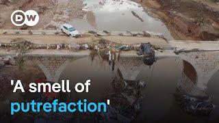 Risk of disease as flood-battered Spain braces for new storms | DW News