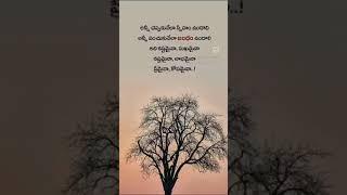 #quotes #motivational