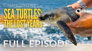 Sea Turtles: The Lost Years - Full Episode