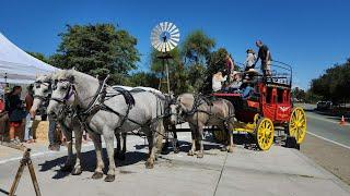 * What They Dont Tell You @ Fallbrook Stagecoach Festival 2022