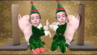 Check out my ElfYourself Dance!