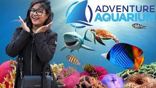 EXCLUSIVE TOUR :Adventure Aquarium (Camden, NJ) || SHARKS, HAMMERHEAD SHARK, HIPPO #adventure #shark