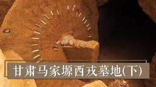 2300年前居然也有“爱车一族”？ 《2019考古进行时》第四季 甘肃马家塬西戎墓地（下）| 中华国宝