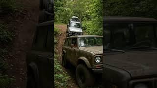 A Ghost in the Trees | Hidden Rig Revealed in the Deep Forest