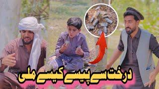 Daraht mai pase kase mili | Afaq Aw Nafees 2025