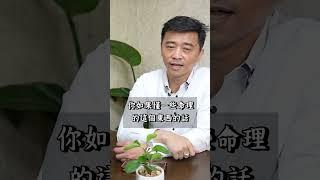 明年運勢轉變！未來最適合發展的行業竟然是 !? (上)#奇門遁甲#命理#鄭詩懷#鄭詩懷的財經命理學堂#玄學#神祕學#中國傳統文化#道教#運勢#火#土#行業#房地產#美國#台灣#中國#賺錢#投資