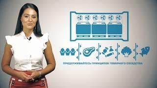 Перевозка продуктов питания. Алина Тихонова. Starshine Logistics School 0+