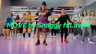 MOVE BY SHAGGY FT LAVINIA | DANCE COVER | DANCE FITNESS | ZUMBA FITNESS | WINSTON FUENTES