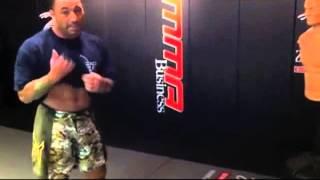 Joe Rogan's insane kicks