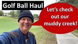 Golf Ball Haul in my Muddy Creek, Coto de Caza, North Course Hole 2