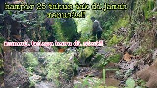 jejak sungai purba yang masih alami#menelusurialamdisekitarku#jejakpetualang#adventure