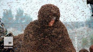 A man covered himself with 1.1 million bees to feel alive for the first time | Mashable