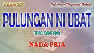 PULUNGAN NI UBAT ll KARAOKE BATAK ll SANTANA TRIO ll NADA PRIA C=DO