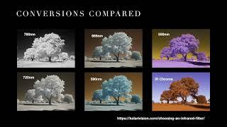 Discovering Digital Infrared Photography (Webinar Replay)